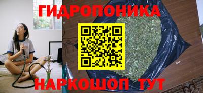 альфа пвп Братск
