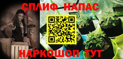 прущие крисы Брянск