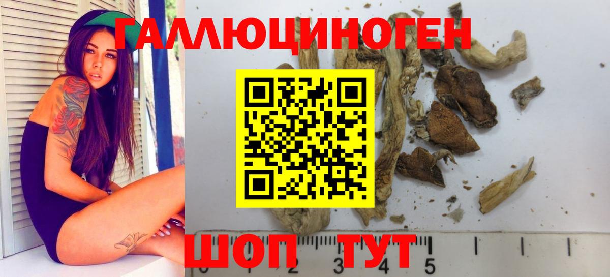 Долгопрудный  Галлюциногенные грибы Psilocybine cubensis  Вход с VPN  Галлюциногенные грибы ЛСД 